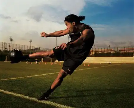 正如萊利所 正如萊利所